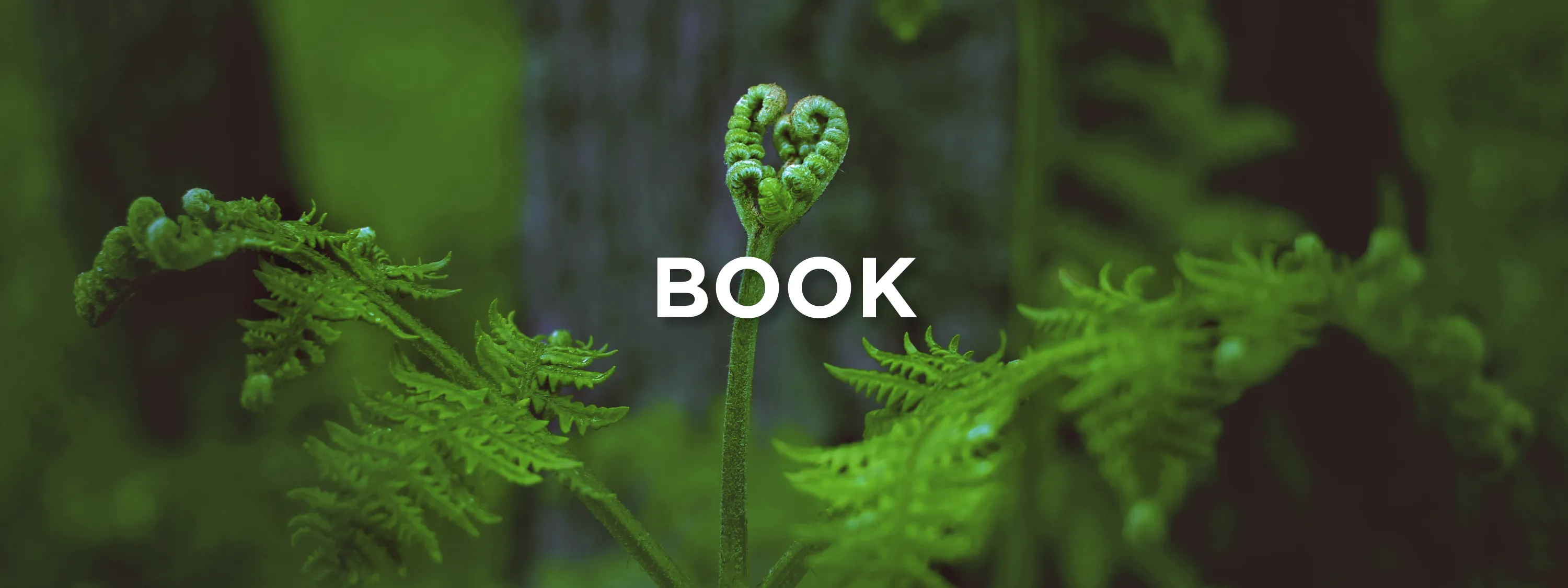book banner image