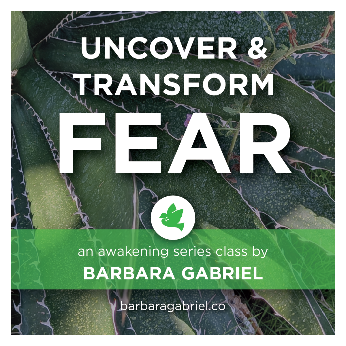 Uncover & Transform Fear