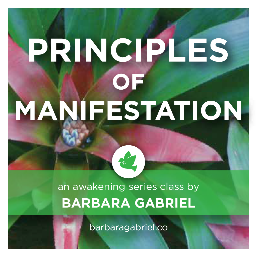 Principles of Manifestation