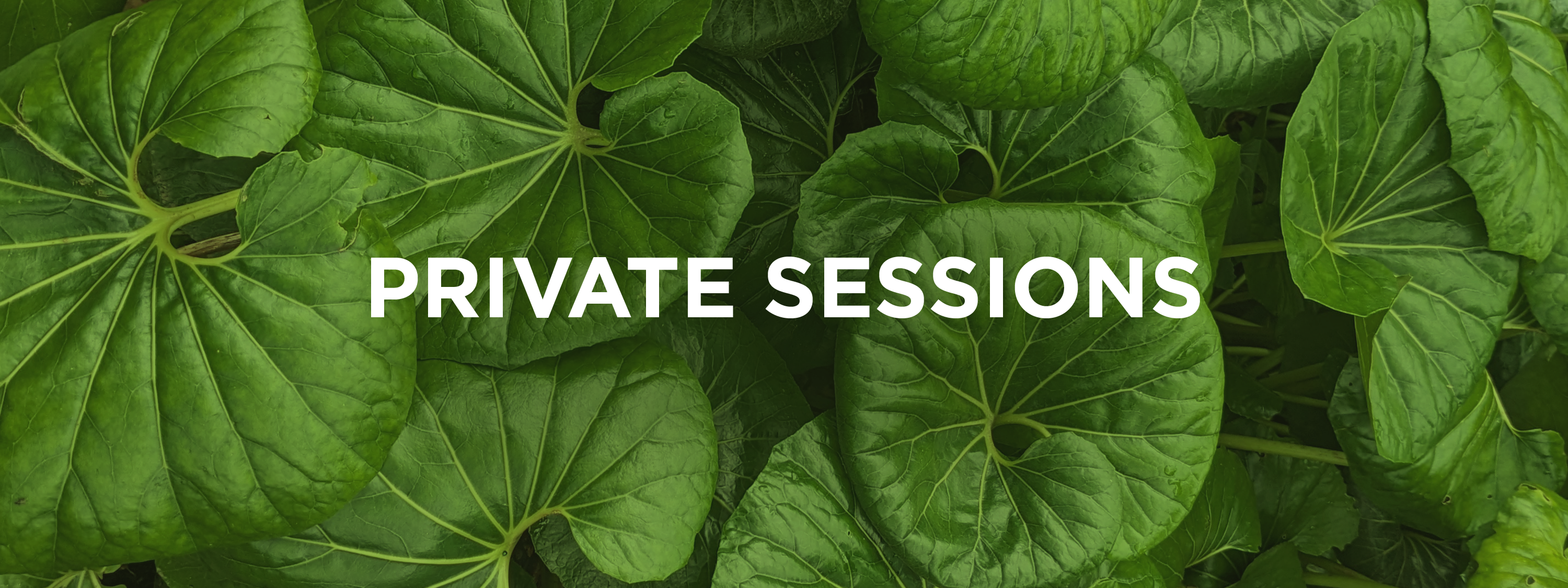 private sessions banner image