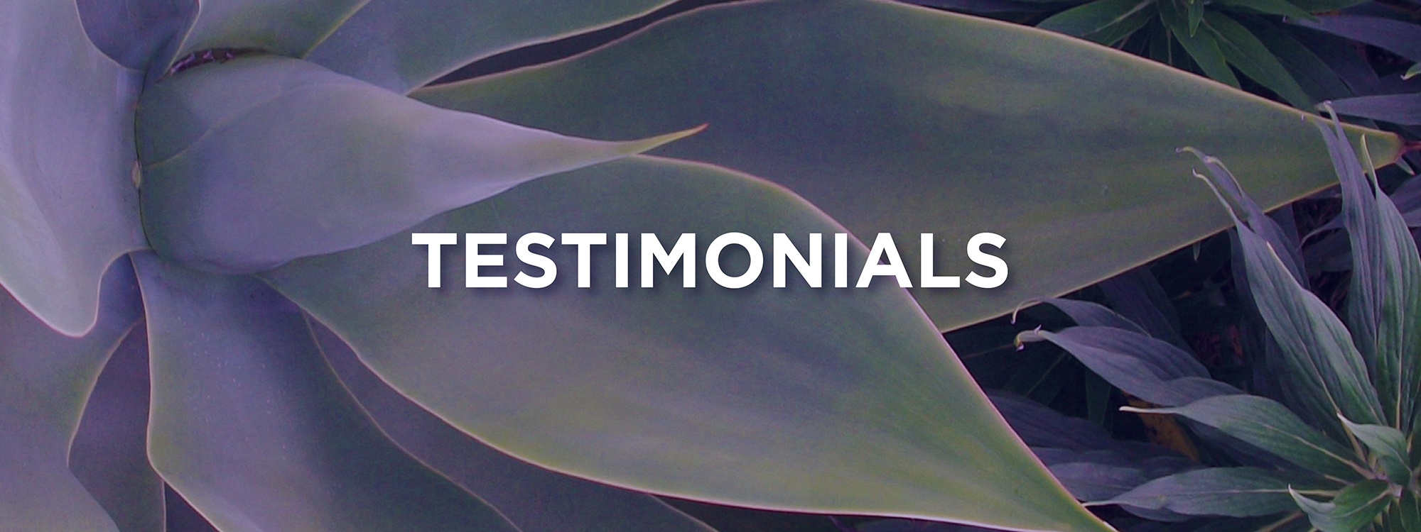 Testimonials banner image